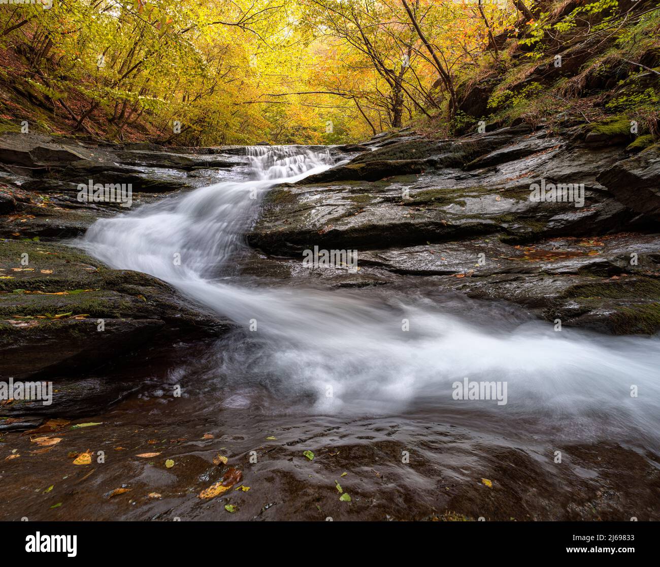 Autumn colors in a beech wood with a waterfall flowing between rocks, long exposure, Emilia Romagna, Italy, Europe Stock Photo