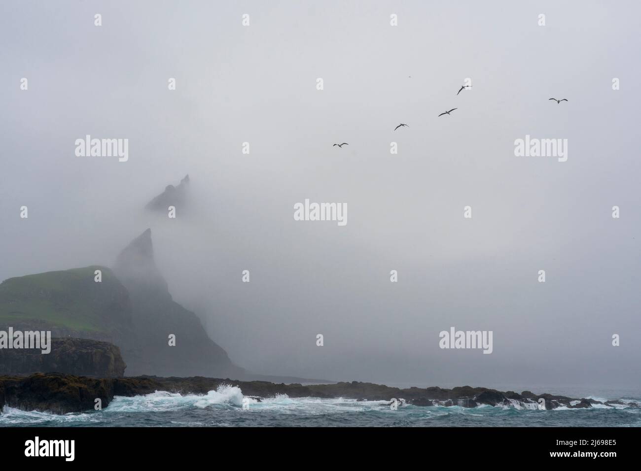 Tindholmur Island, Faroe Islands, Denmark Stock Photo