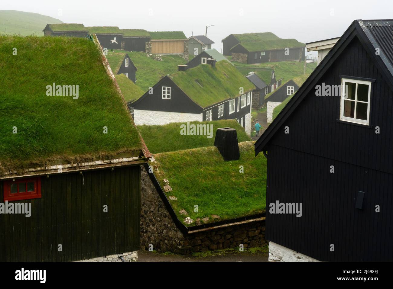 Houses with turf roofs, Mykines Island, Faroe Islands, Denmark, Europe Stock Photo