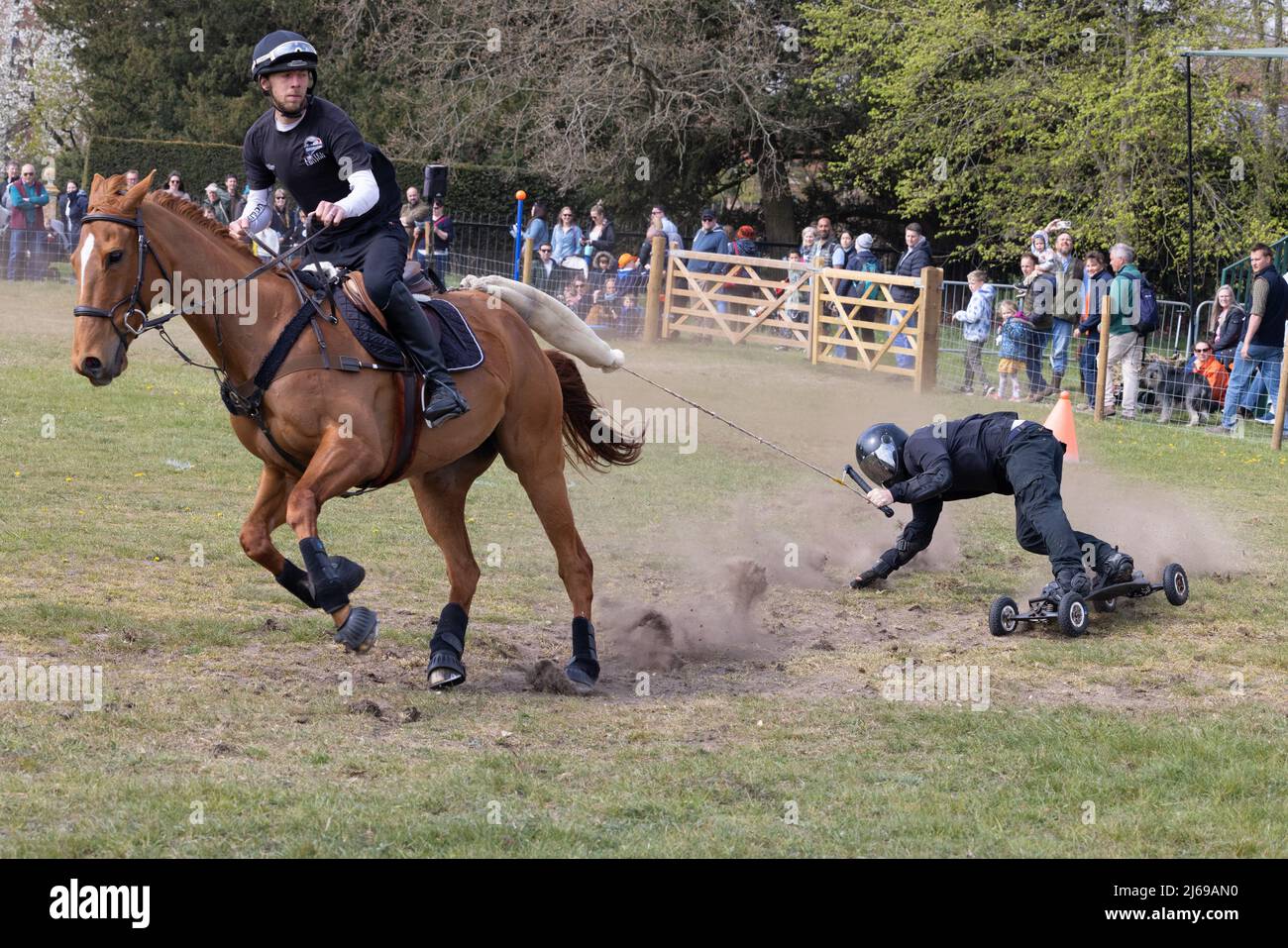 Horse boarding UK; a horse and rider pulling a skateboard and