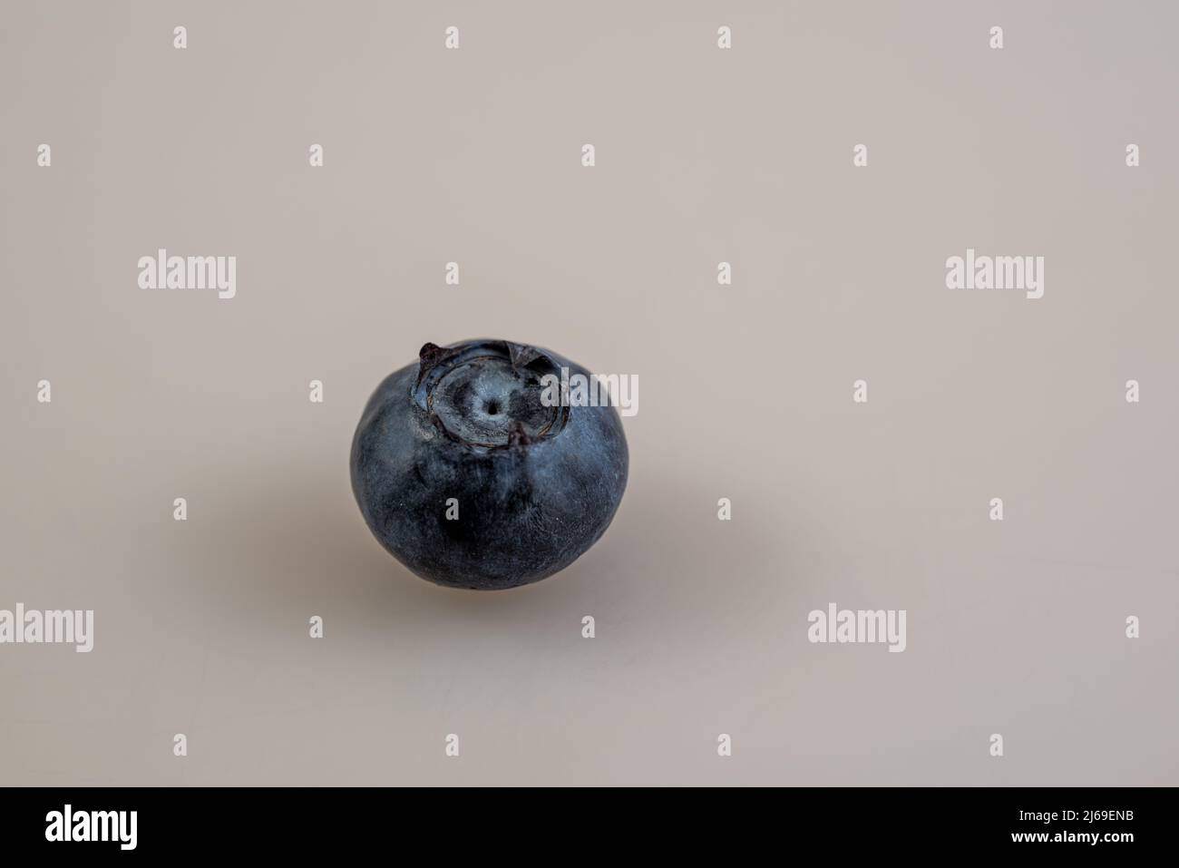 macro shot of a single blueberry against a light background Stock Photo