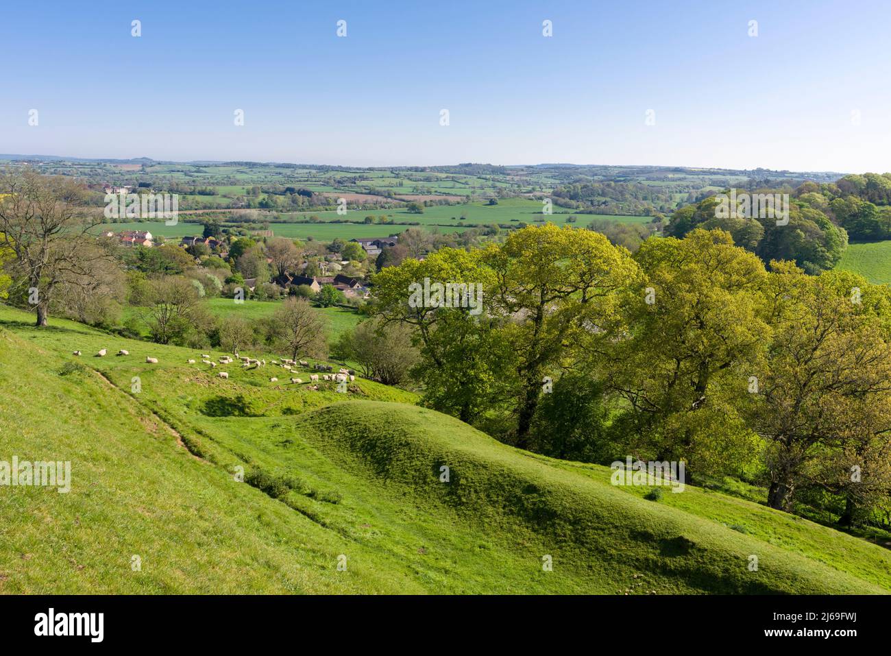 The ramparts of Cadbury Castle, a