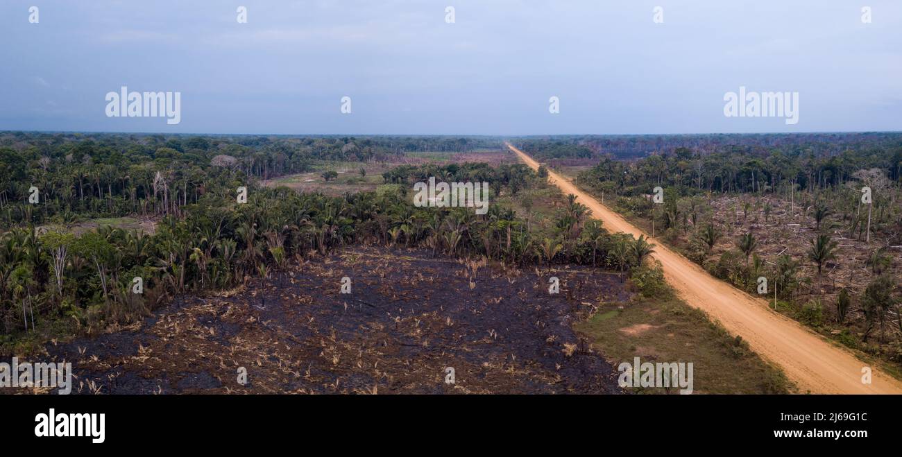 Aerial view of illegal deforestation in the amazon rainforest and BR-230 Transamazonica road. Forest trees cut and burned to open land for agriculture Stock Photo