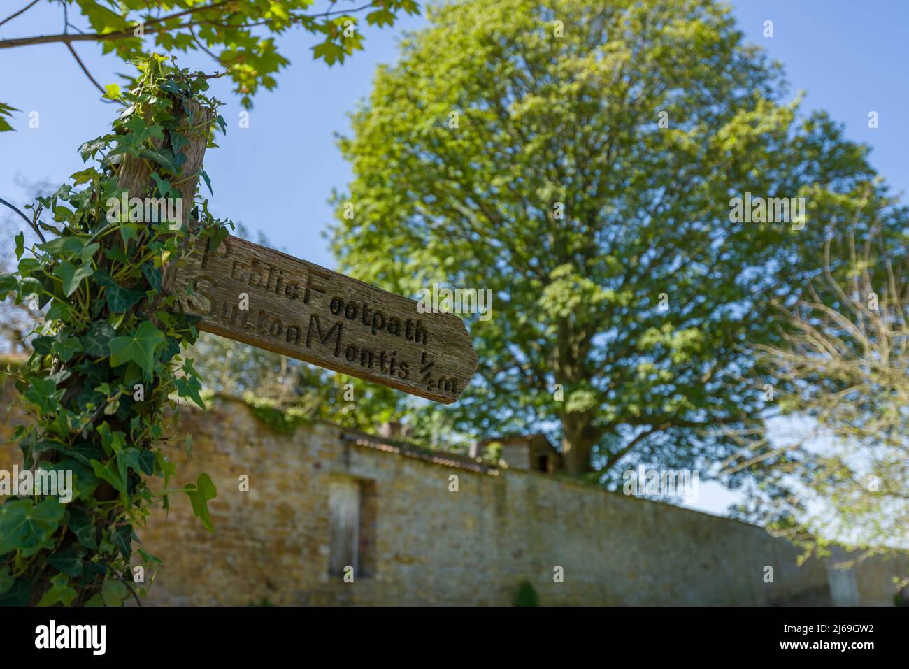 A public footpath signpost to the village pf Sutton Montis, Somerset, England. Stock Photo
