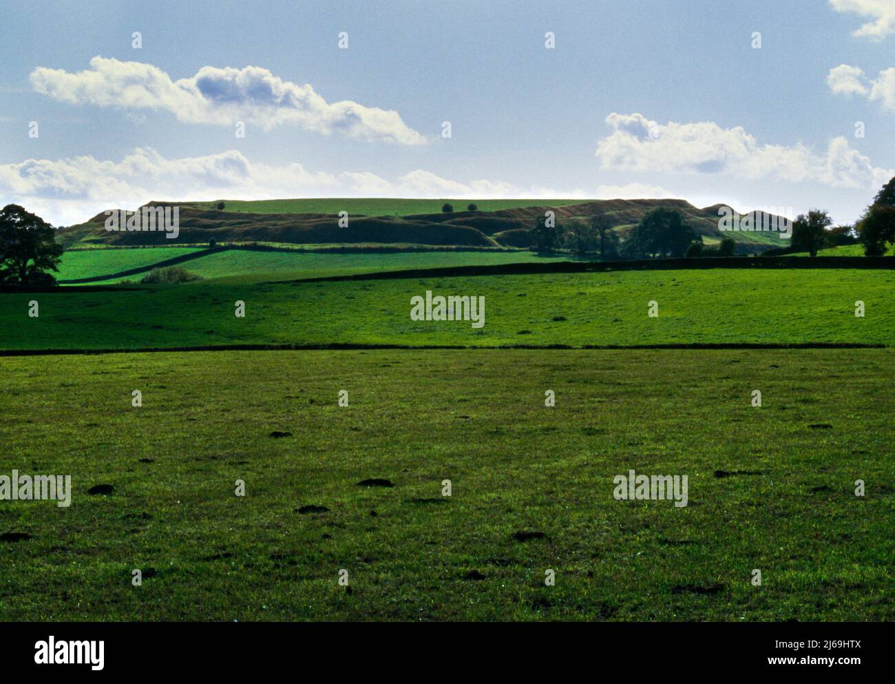 Looking SW across pasture to Old Oswestry Iron Age hillfort, Shropshire, England, UK: five ramparts enclose a central area of some 8.4 hectares. Stock Photo