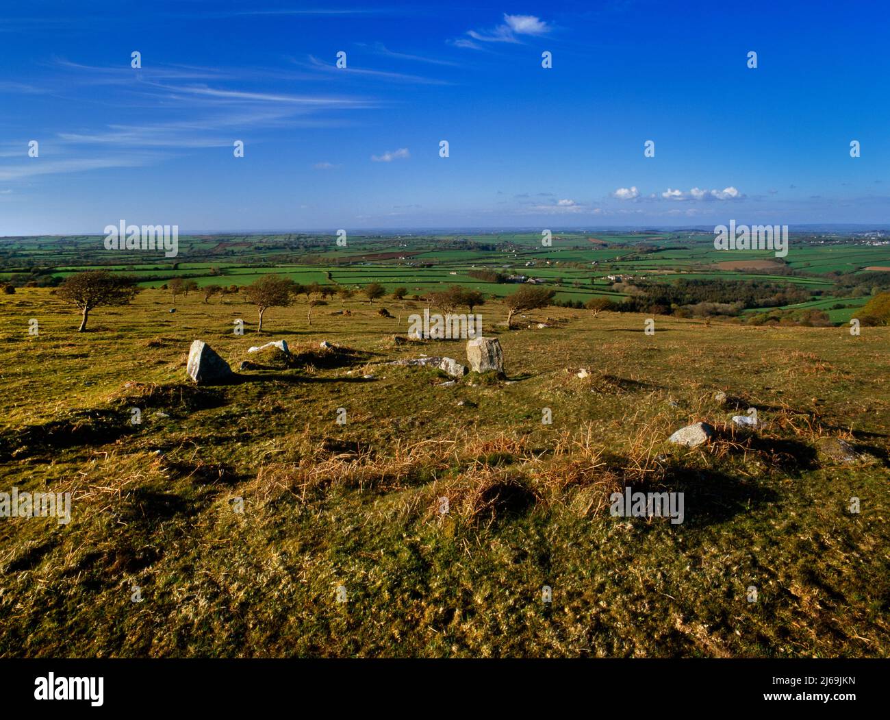 View N of a ruined hut circle beside a collapsed & overgrown Bronze Age drystone field boundary on East Moor, Bodmin Moor, Cornwall, England, UK. Stock Photo