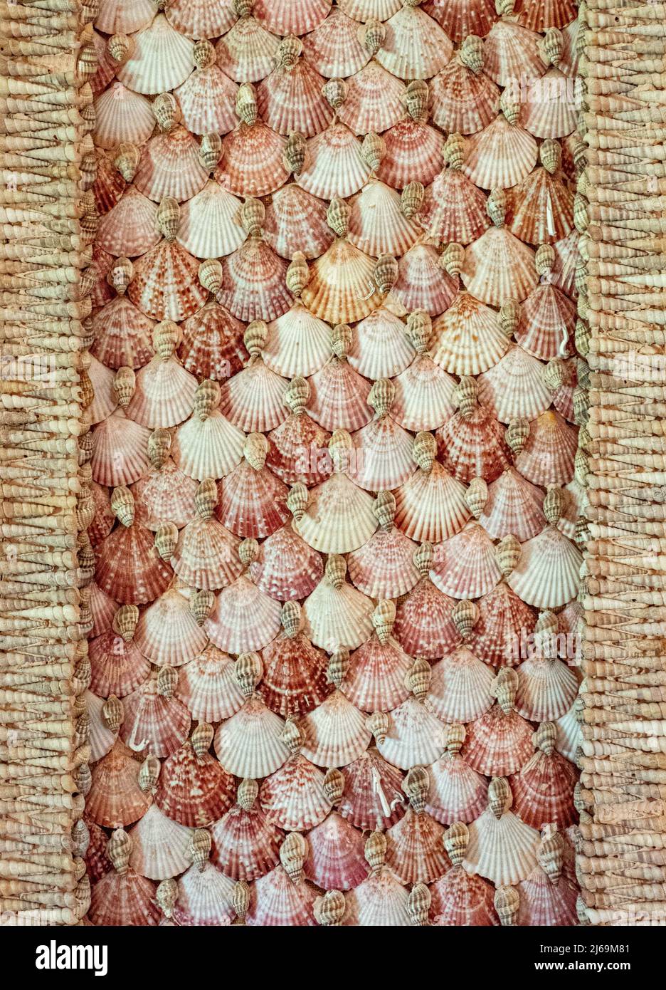 Panel of a cabinet made with hundreds of shells and containing a shell collection at Basildon Park Berkshire UK Stock Photo