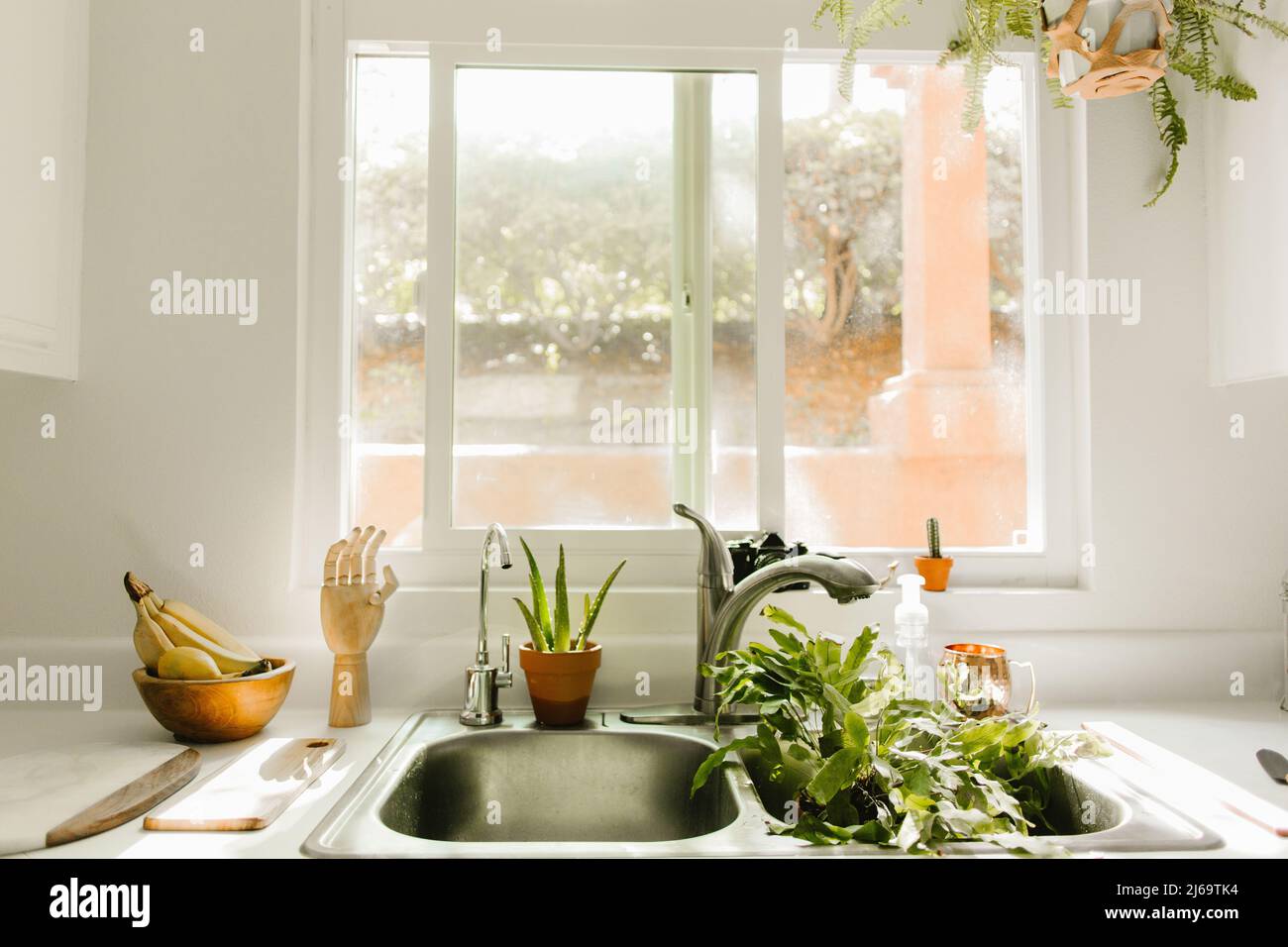 boho kitchen with house plants in kitchen sink to be watered Stock