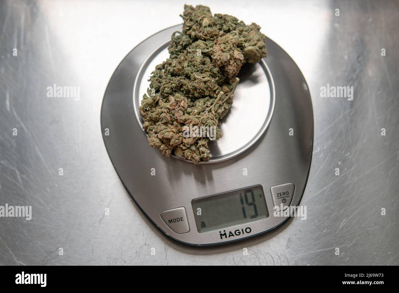 https://c8.alamy.com/comp/2J69W73/pressed-marijuana-buds-on-metal-scales-legalization-of-the-recr-2J69W73.jpg