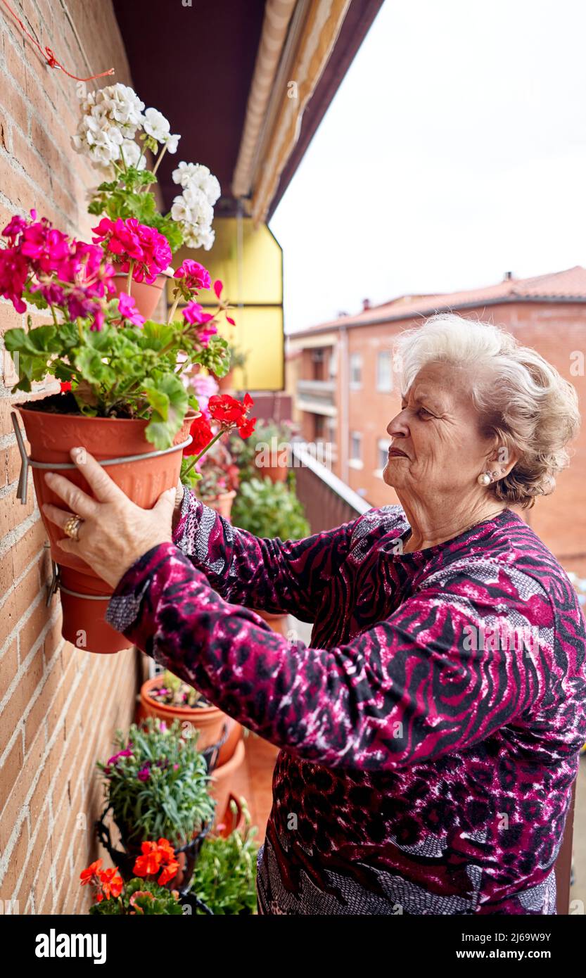 Happy elderly woman is planting a hobby after retiring in a home. Stock Photo