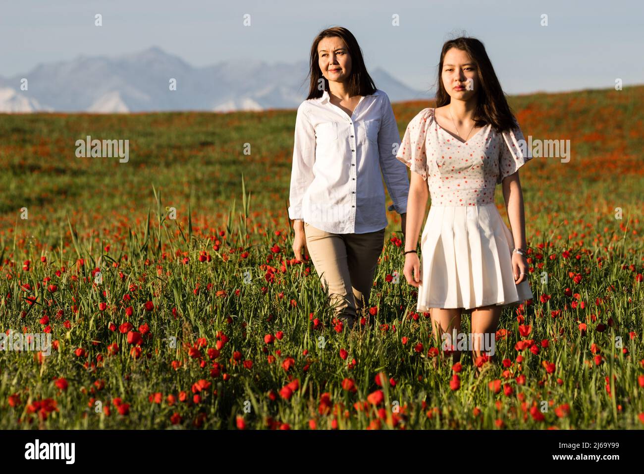 Poppy fields near Leninskoe village near the city of Bishkek in Kyrgyzstan. Stock Photo