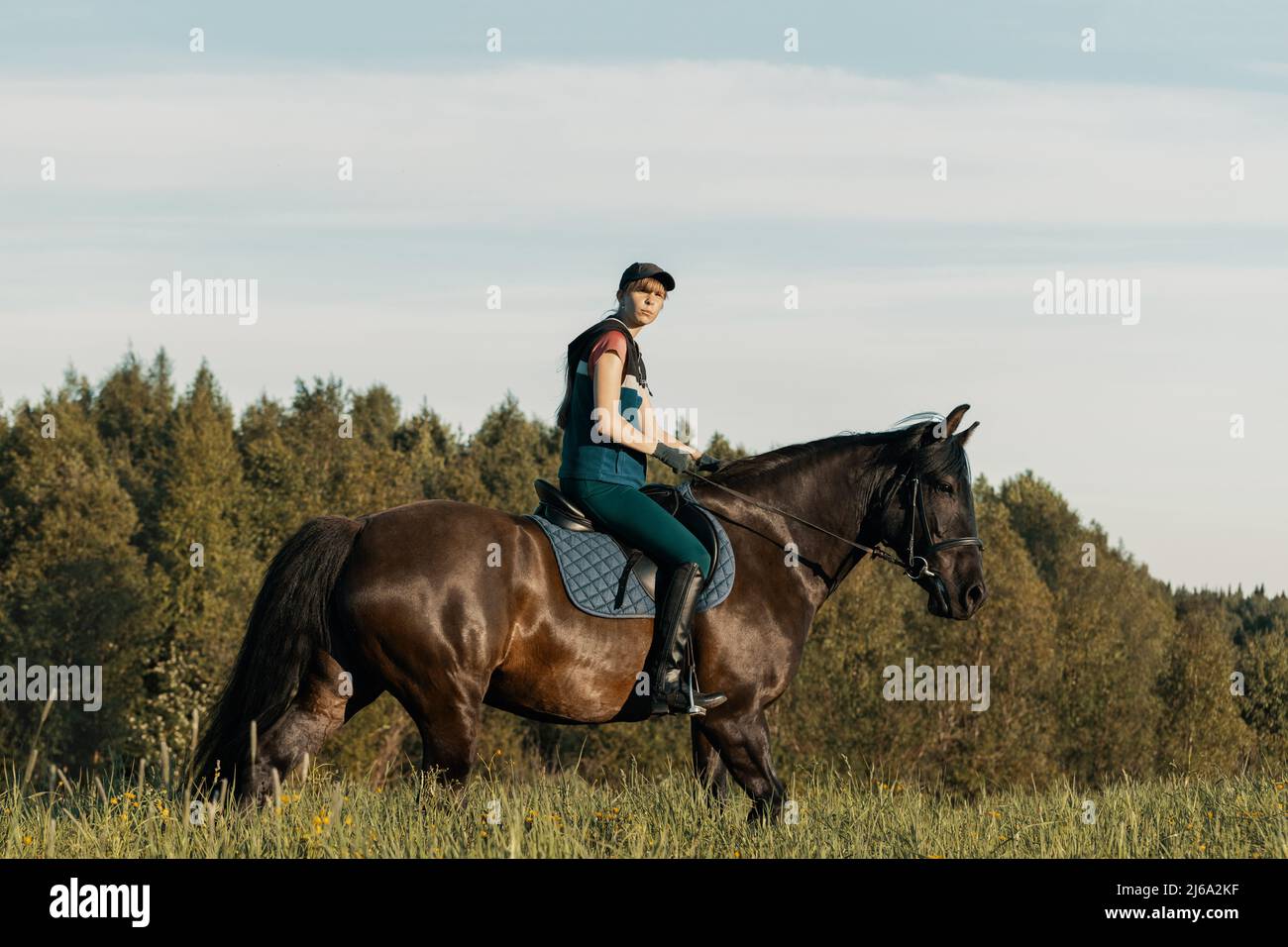 Teenage girl riding bay horse in field. Stock Photo