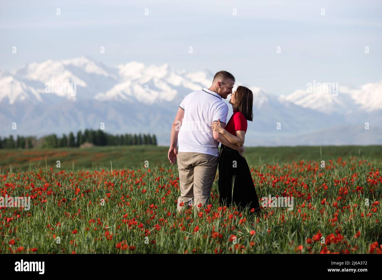 Poppy fields near Leninskoe village near the city of Bishkek in Kyrgyzstan. Stock Photo