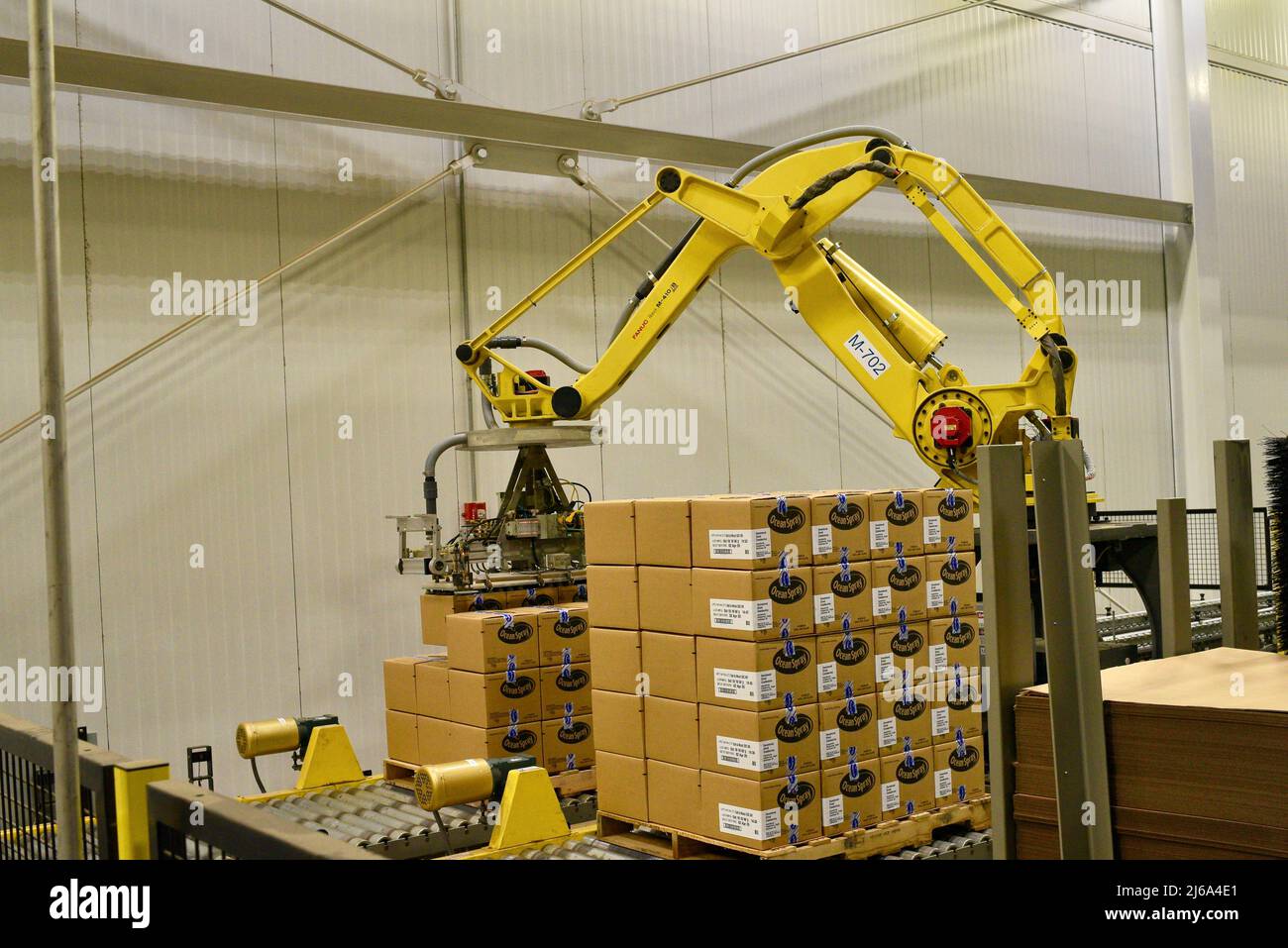 Robotic machine stacking pallet of cranberry juice boxes in the modern and state-of-the-art Ocean Spray plant in Wisconsin Rapids, Wisconsin, USA Stock Photo