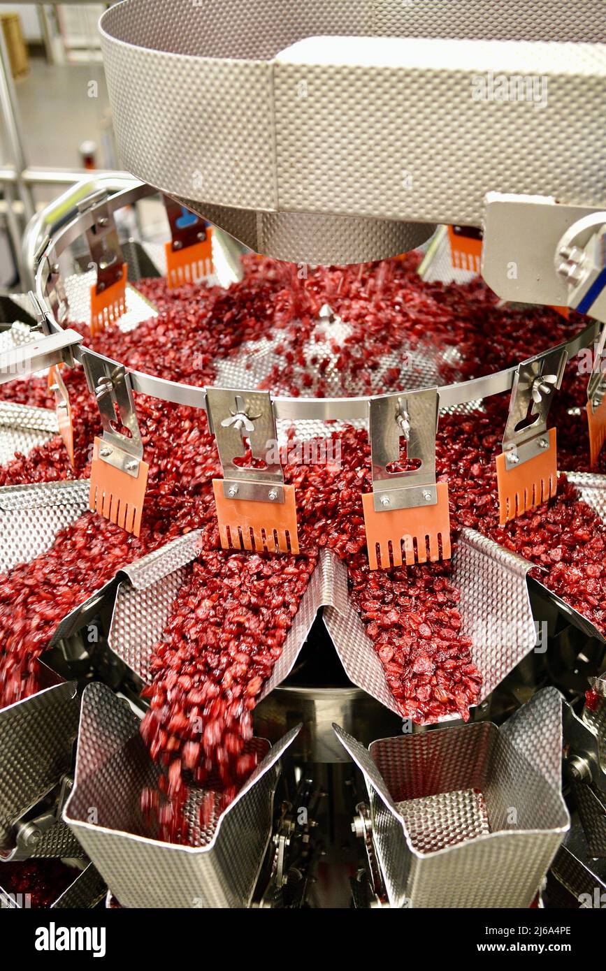 Processing of cranberries at the modern and stateoftheart Ocean Spray factory in Wisconsin