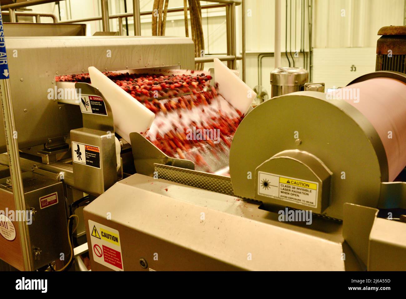 Processing of cranberries at the modern and state-of-the-art Ocean Spray factory in Wisconsin Rapids, Wisconsin, USA Stock Photo