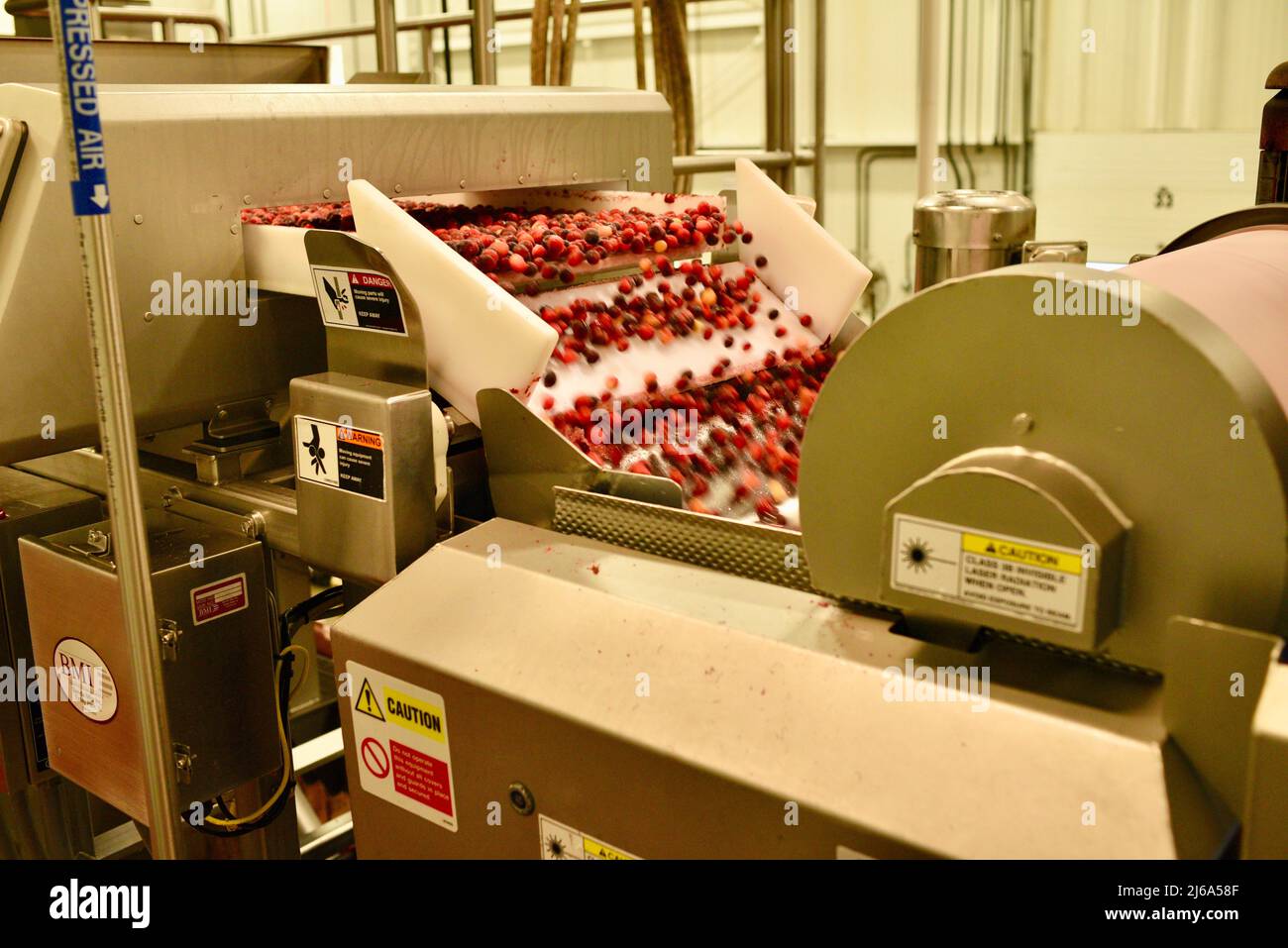 Processing of cranberries at the modern and stateoftheart Ocean