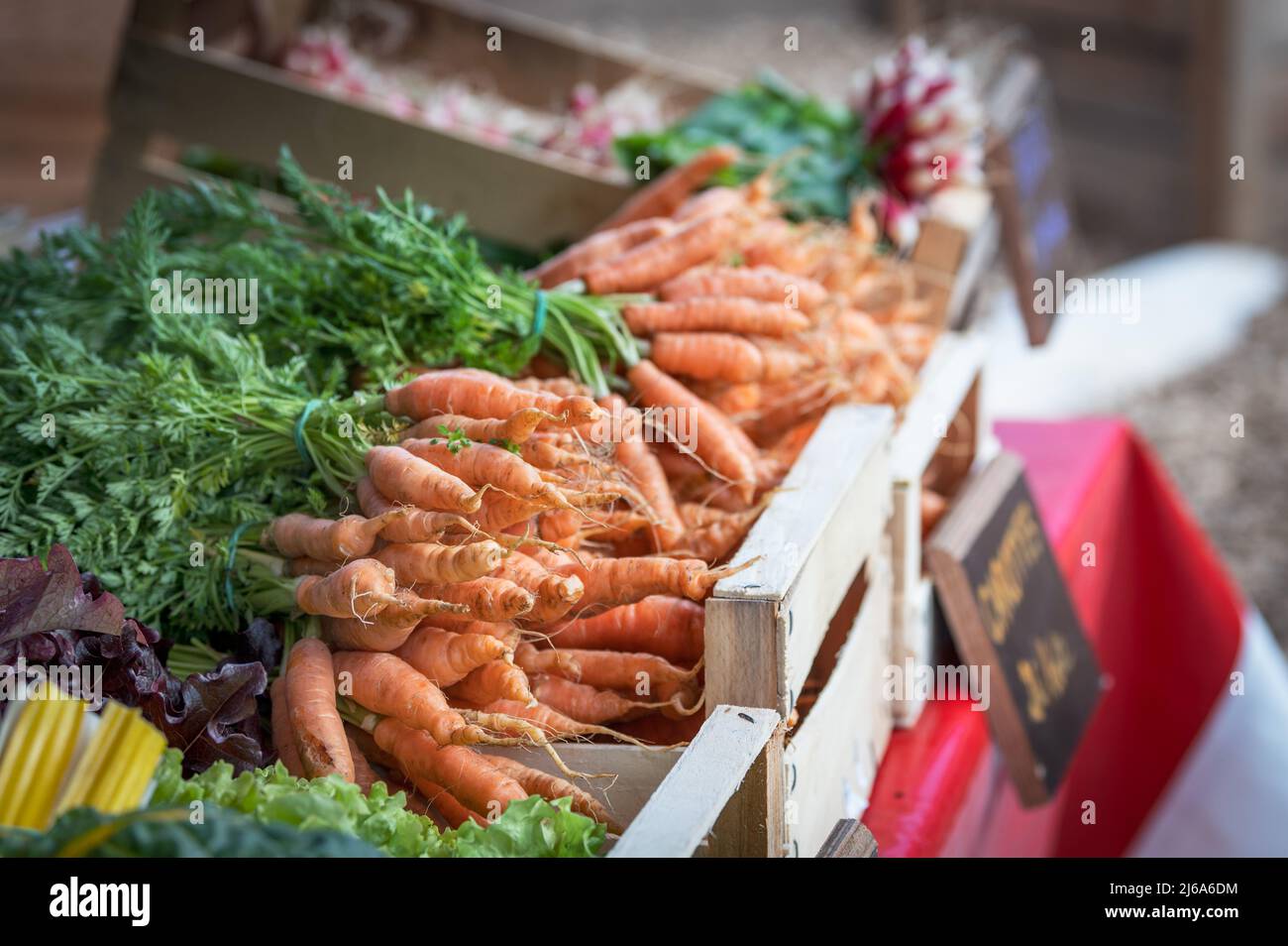 tasted and fresh carots vegetables on a market Stock Photo