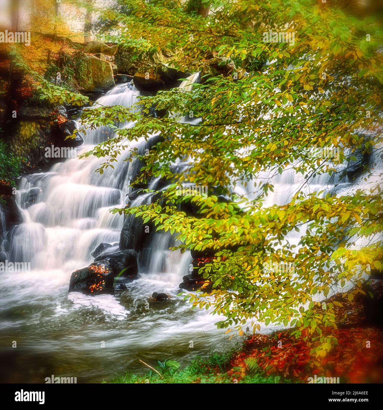 Waterfall at Virginia Water, Stock Photo