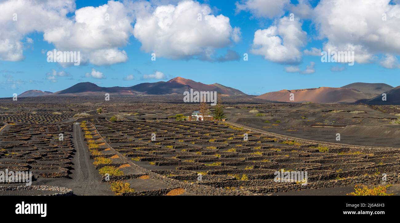 Panorama of volcanic vineyards and Timanfaya National Park, Spain Stock Photo