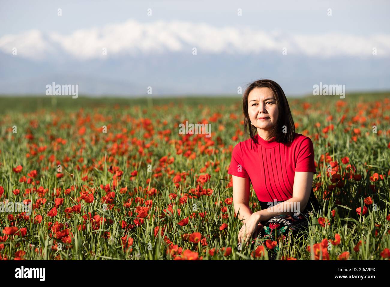 Poppy fields near Leninskoe village near the city of Bishkek in Kyrgyzstan. Stock Photo