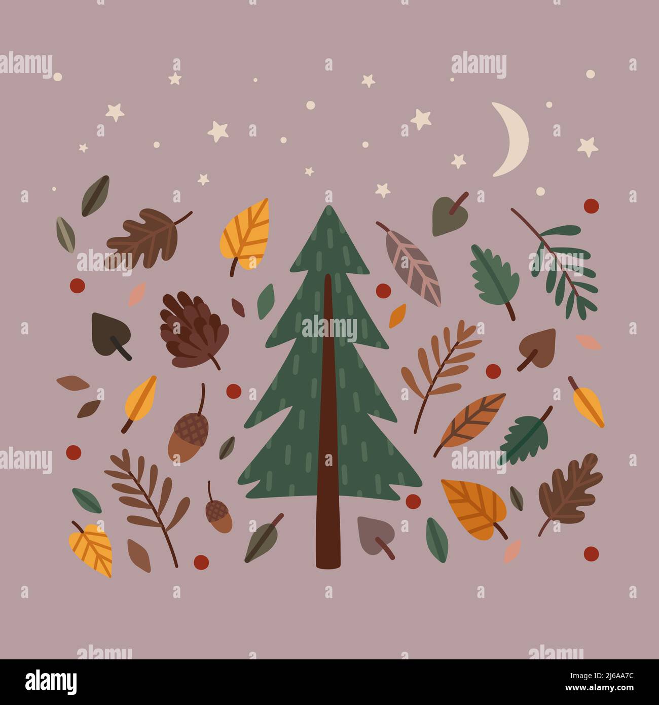 Forest leaves set Stock Vector