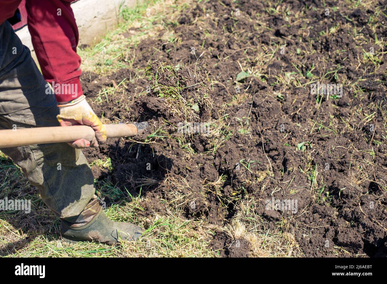 A man is digging a garden with a shovel. Garden work in spring. Planting vegetables and seedlings. Stock Photo