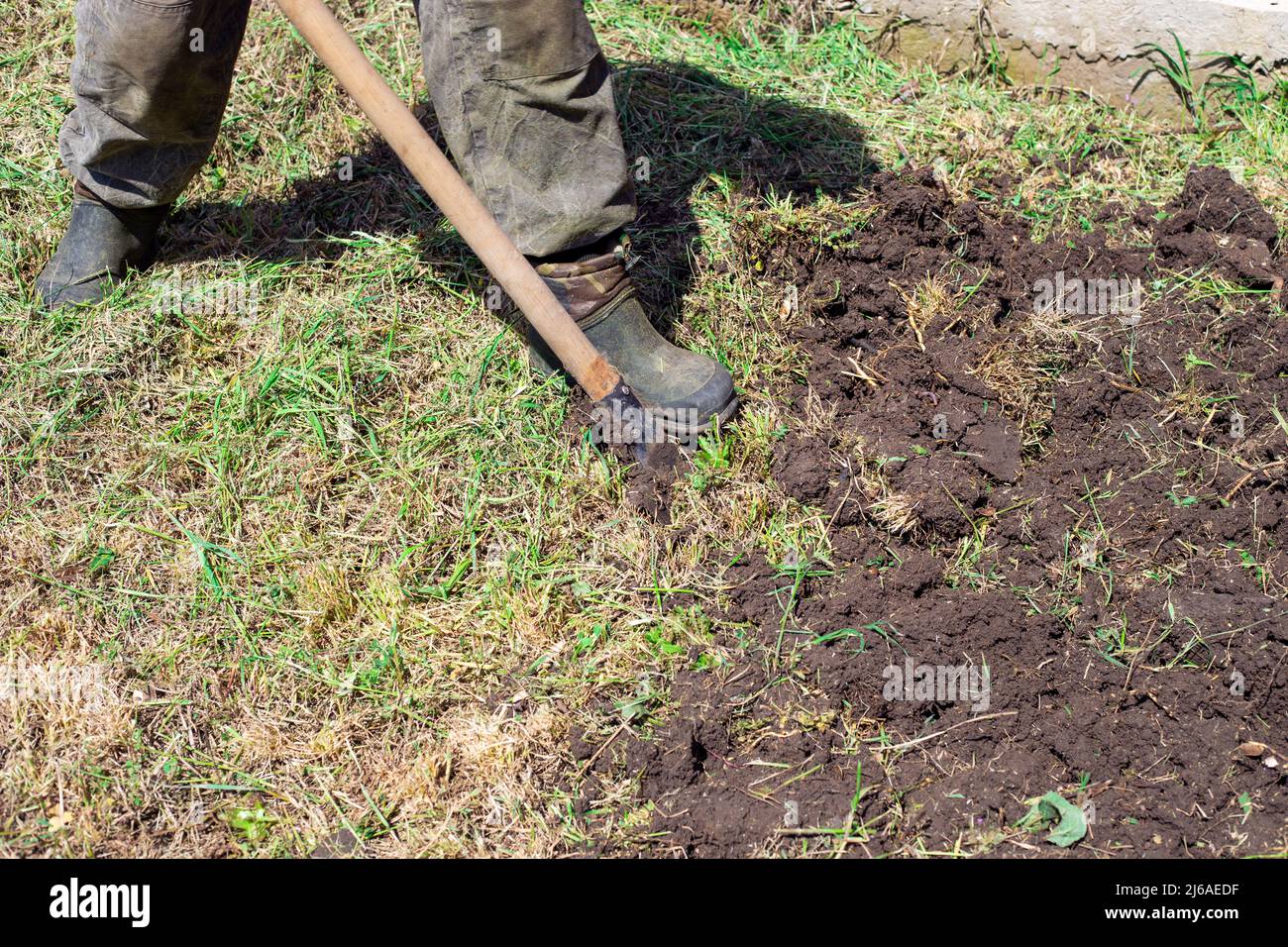 A man is digging a garden with a shovel. Garden work in spring. Planting vegetables and seedlings. Stock Photo
