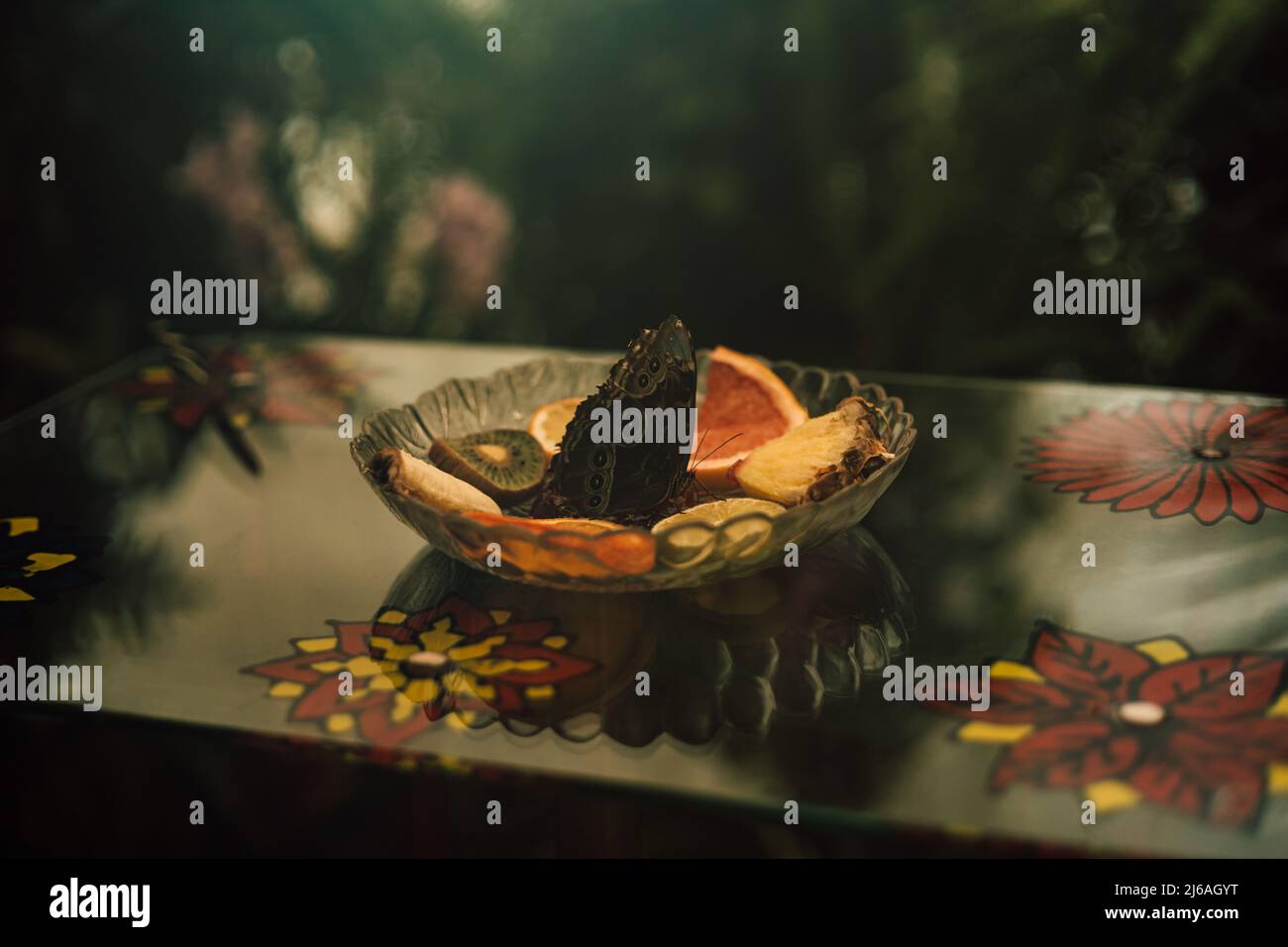 Butterfly sat on a platter with fruit to eat Stock Photo