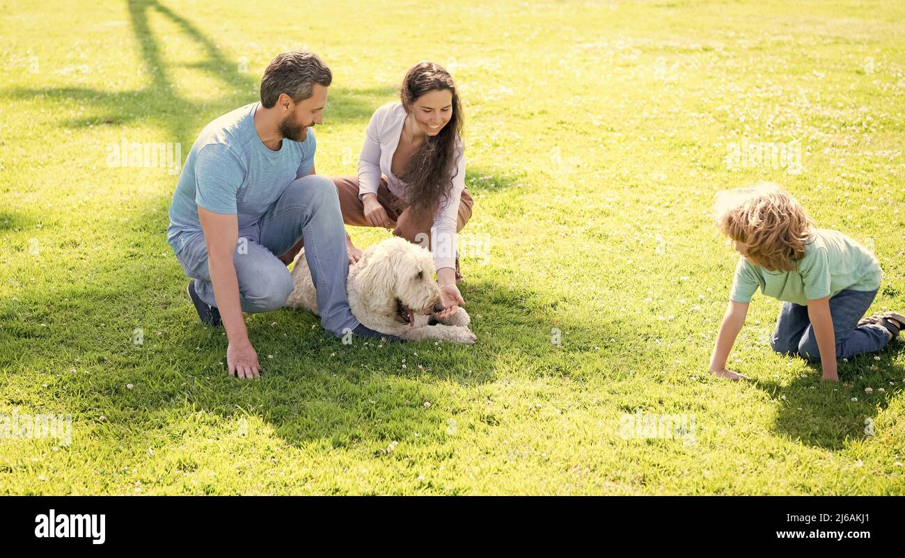 happy family of mom father and kid son playing with pet dog in summer ...