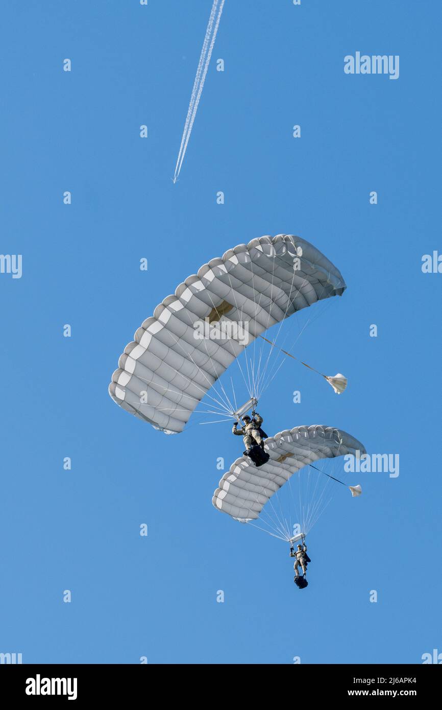 Belgian Paratroopers perform sustainment training freefall jumps as ...