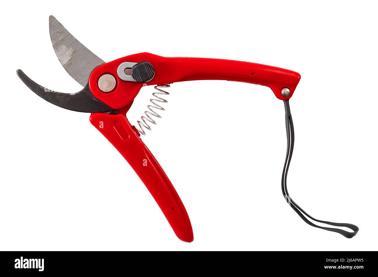 Red pruning shears, garden secateurs or hand pruners are garden tools used in gardening for cutting tree branches and landscaping gardens, isolated on Stock Photo