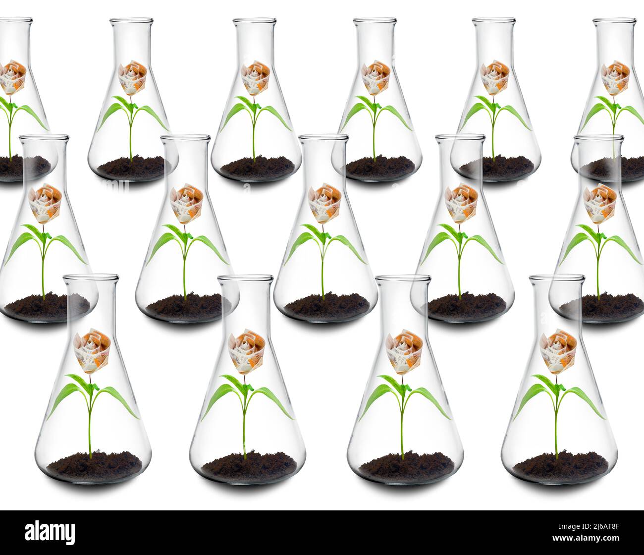 Cost of botanical research, conceptual image Stock Photo