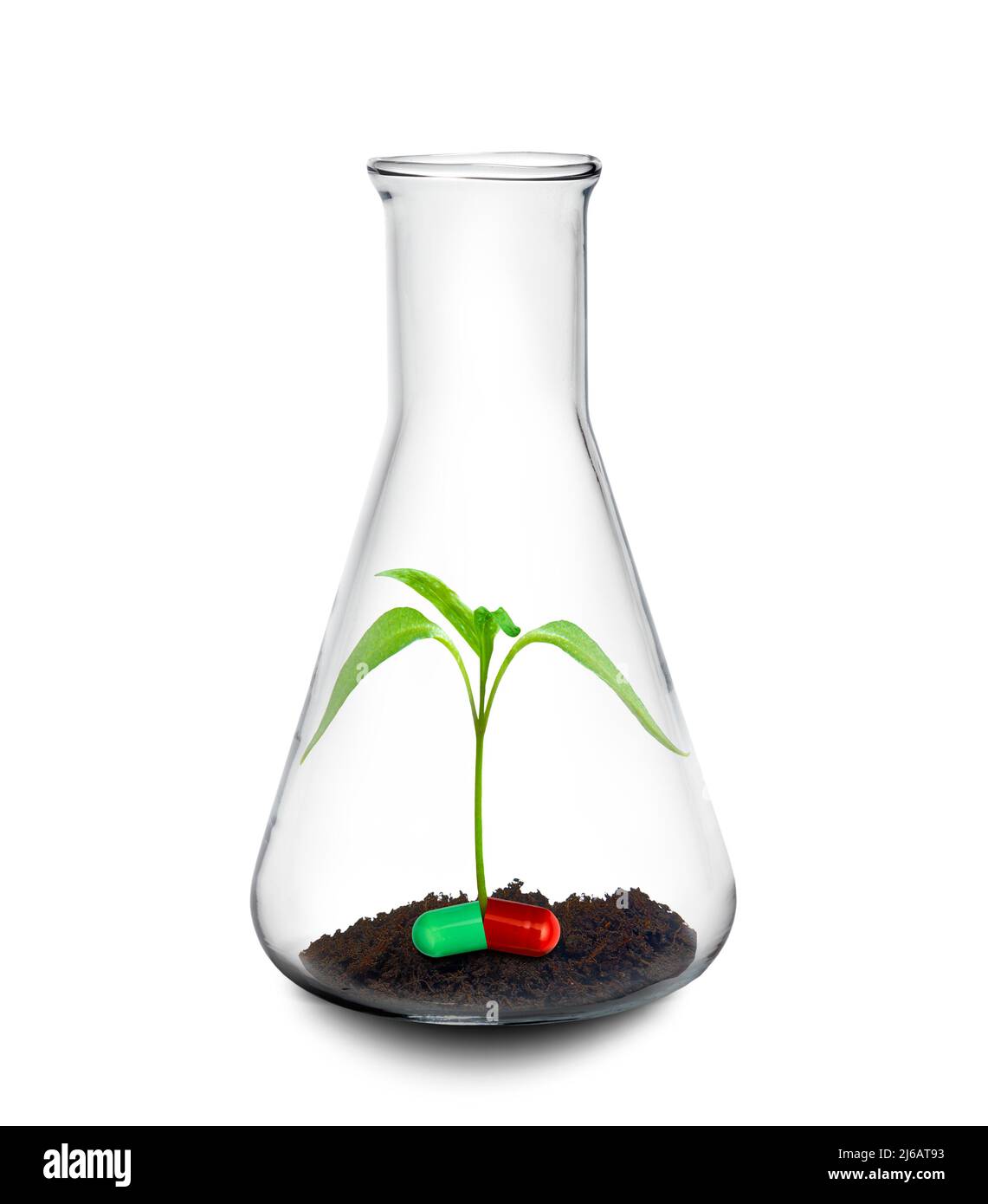 Botanical research for new drugs, conceptual image Stock Photo