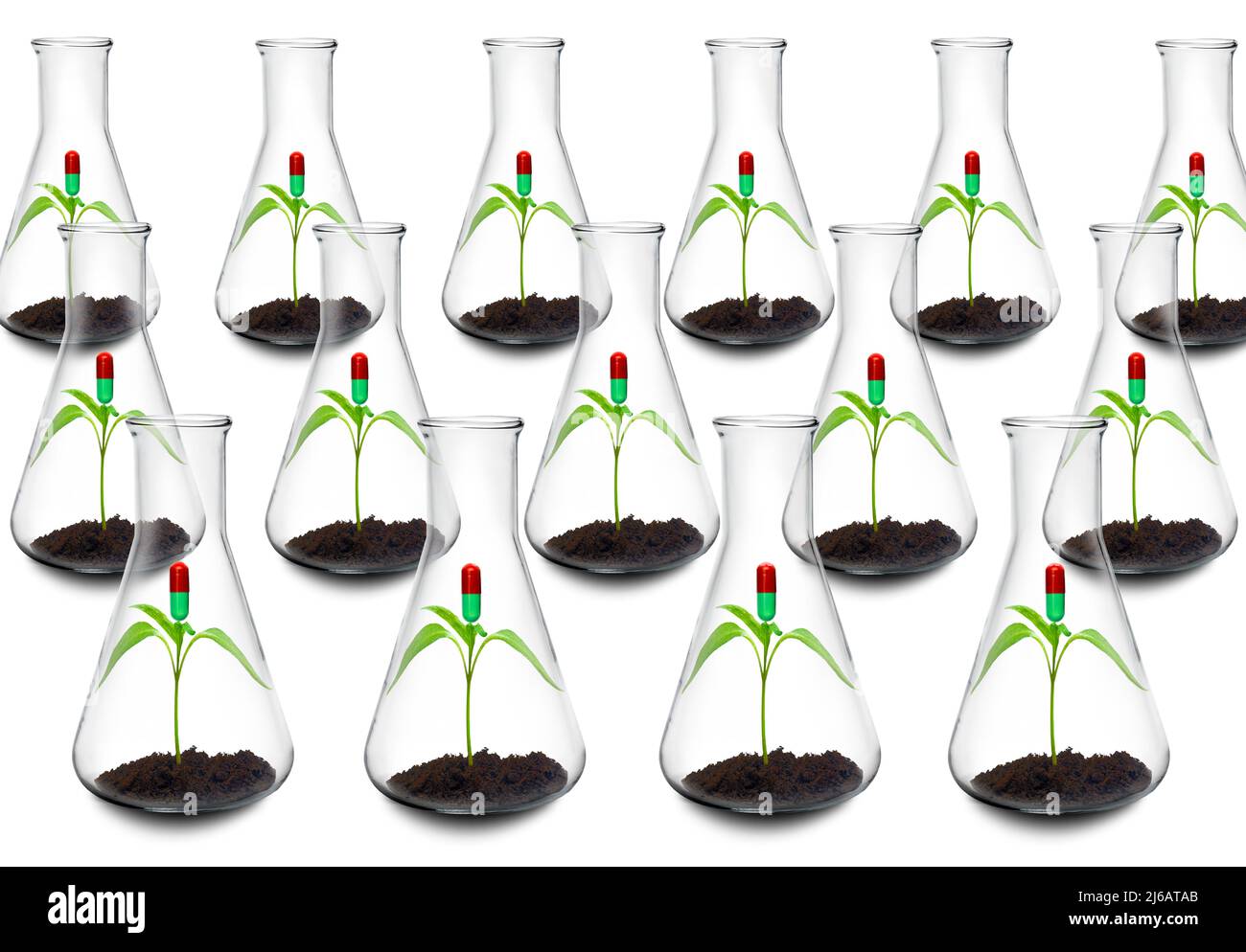 Botanical research for new medications, conceptual image Stock Photo