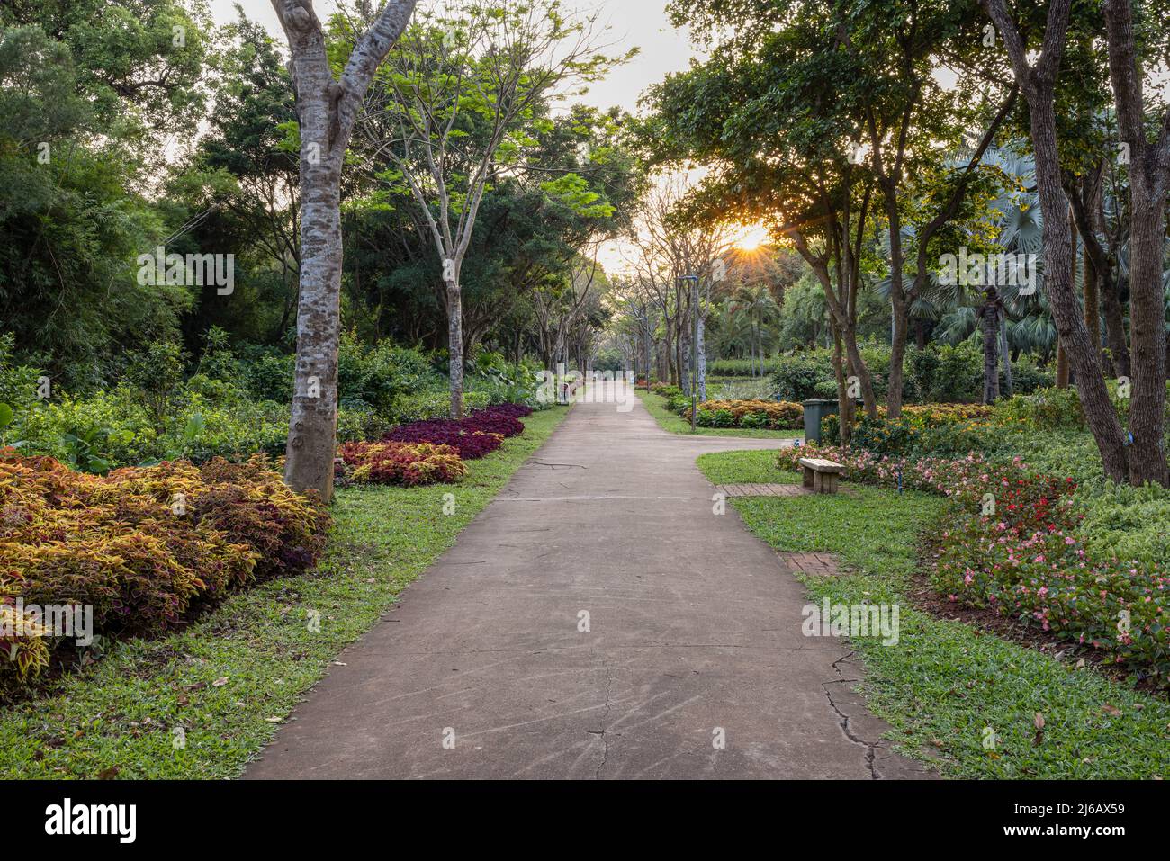 Tropical fall hi-res stock photography and images - Alamy