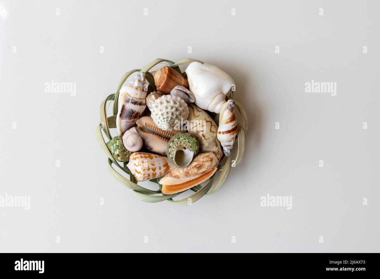 Seashells in a basket on white isolated background Stock Photo