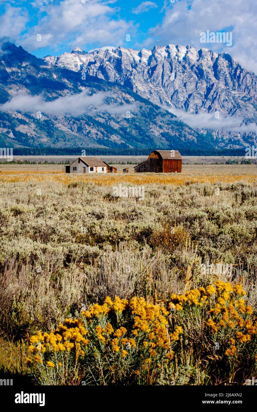 Elk Refuge in Grand Teton National Park where there is a small farm house an barn at this ranch. Stock Photo