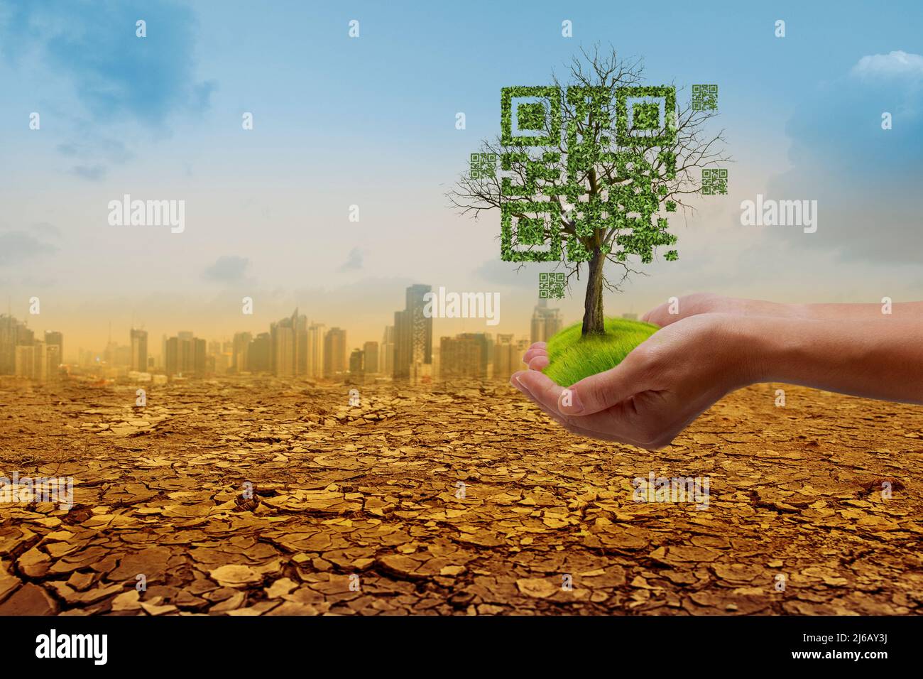 Hands holding dead tree shaped like qrcore in the dry forest and city background. Technology , Business and Nature Concept. Stock Photo