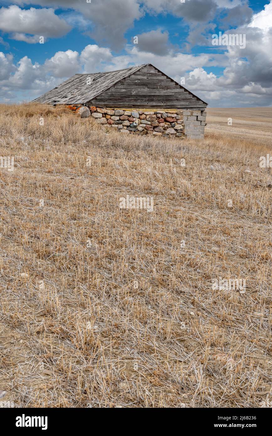 A historic dugout house that was converted into a barn in a field in Saskatchewan Stock Photo