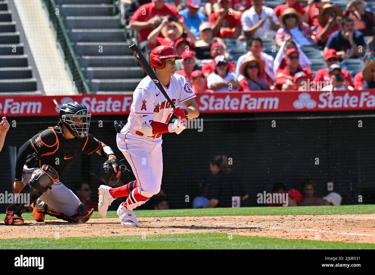 April 24, 2022: Los Angeles Angels designated hitter Shohei Ohtani (17) during a MLB baseball game between the Baltimore Orioles and the Los Angeles Angels at Angel Stadium in Anaheim, California. Justin Fine/CSM Stock Photo