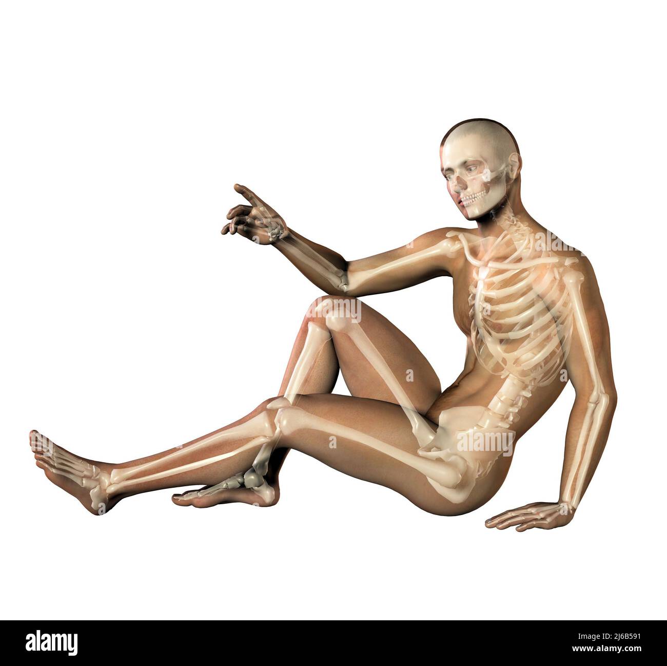 male body with skeleton in transparence, 3d illustration Stock Photo