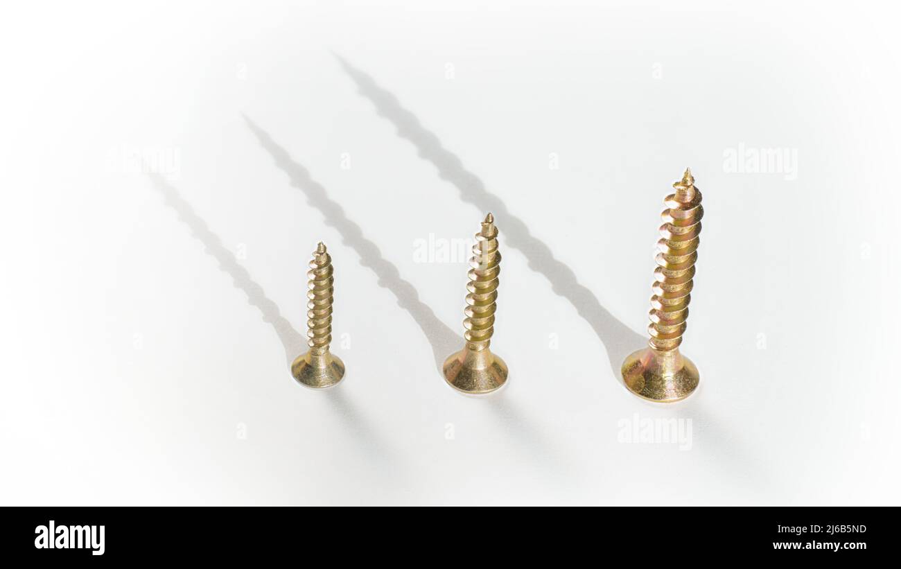 Three golden screws of different sizes in a row on a white background with long shadows. Close up of screws with selective focus Stock Photo