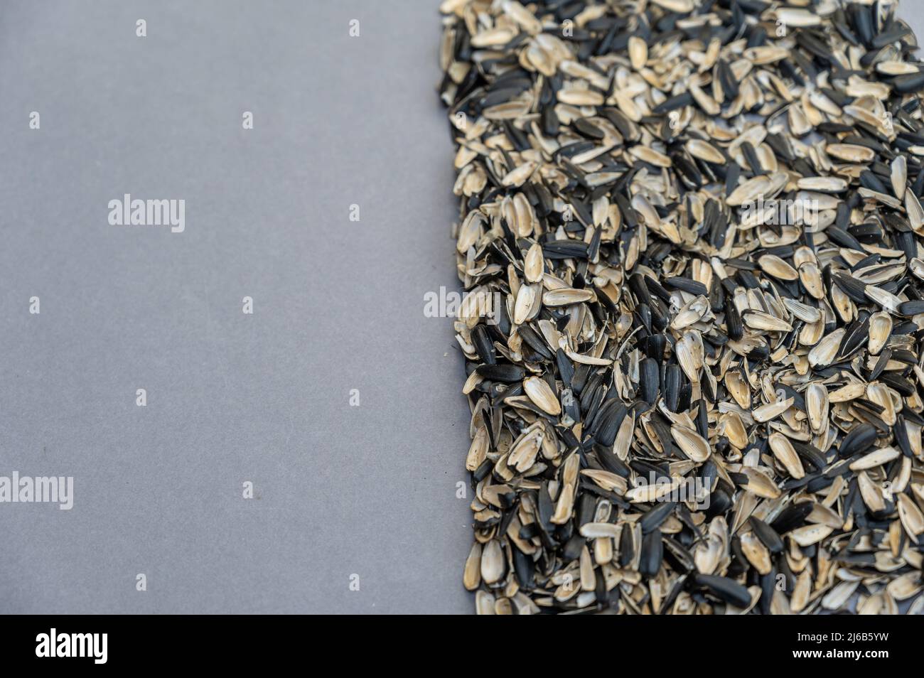 A pile of empty sunflower seed husks. Black and white husk of roasted