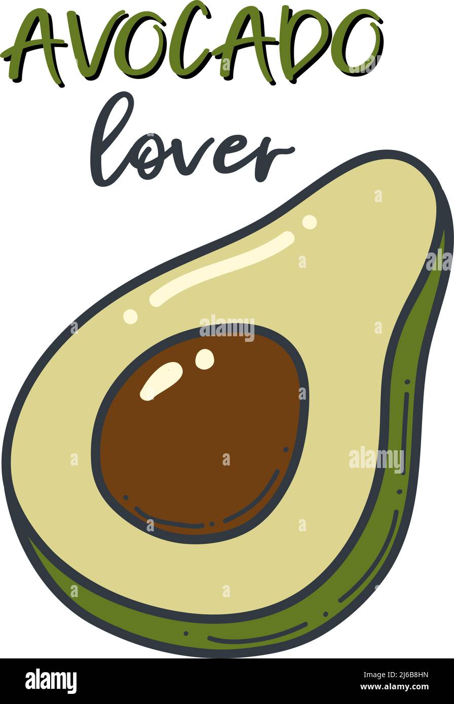 Avocado doodle outline icon. Logo organic fruit and vegetable isolated illustration. Stock Vector