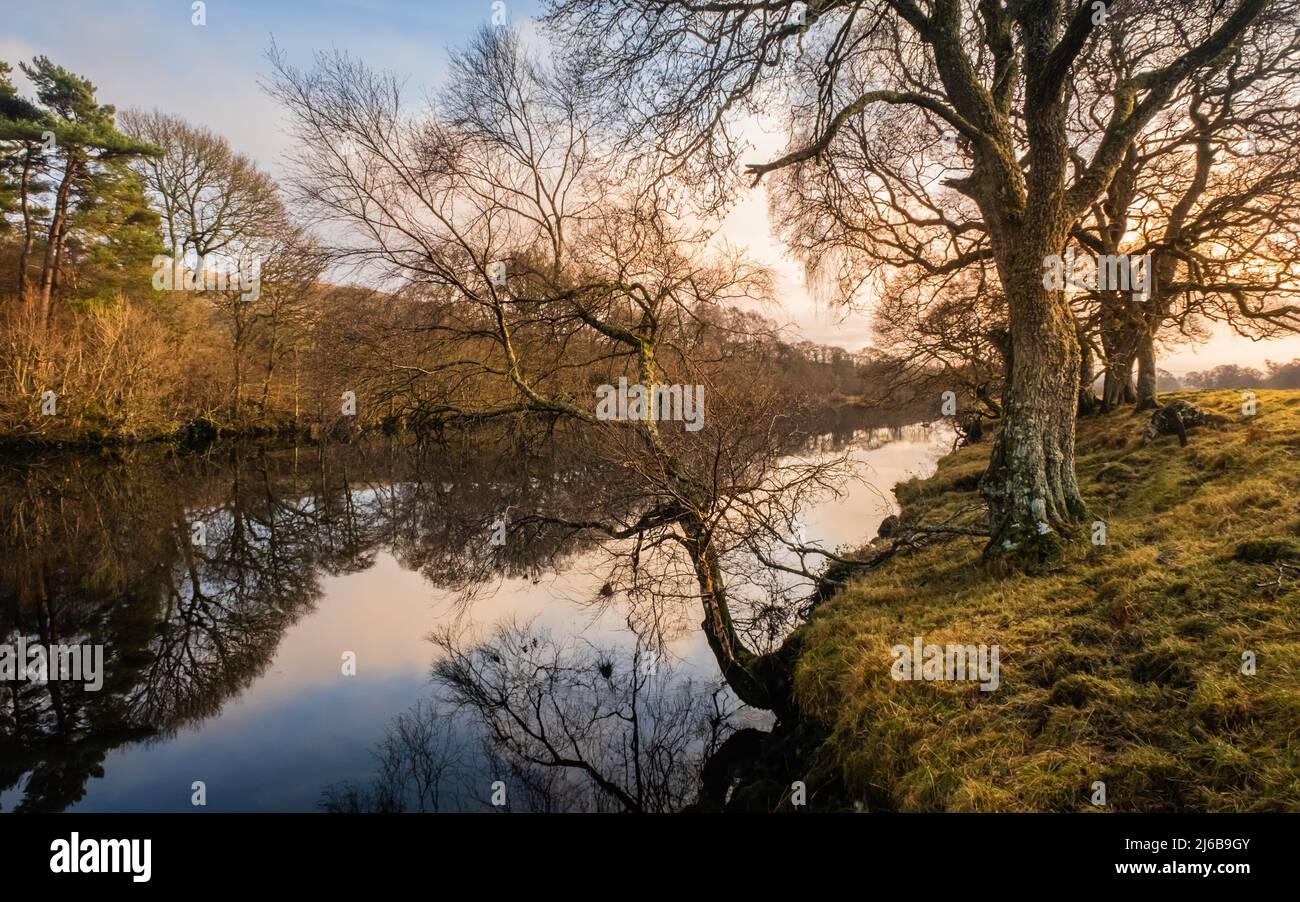 A treelined trail along the Water of Ken river at Kendoon at sunset in winter Stock Photo