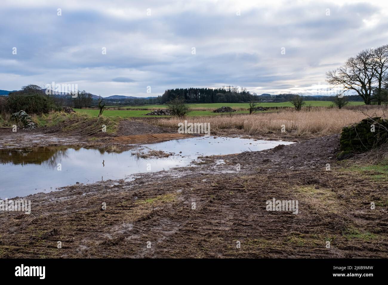 A breached flood bank on a wetland restoration project, with water flowing through naturally, with silt traps in place, Threave Estate, Scotland Stock Photo