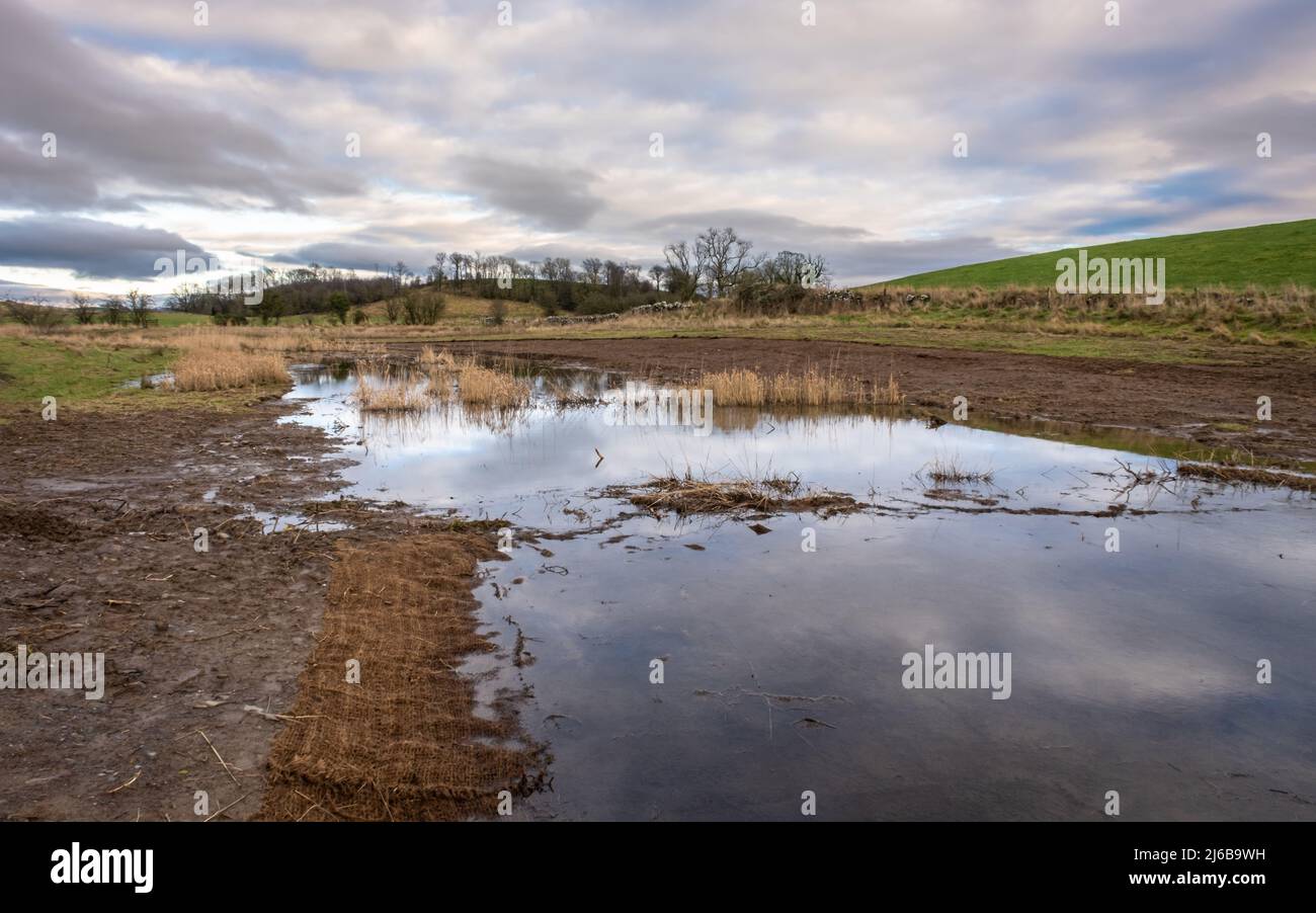 Wetland restoration by restoring a river flood channel on the River Dee at Threave Estate, Scotland Stock Photo