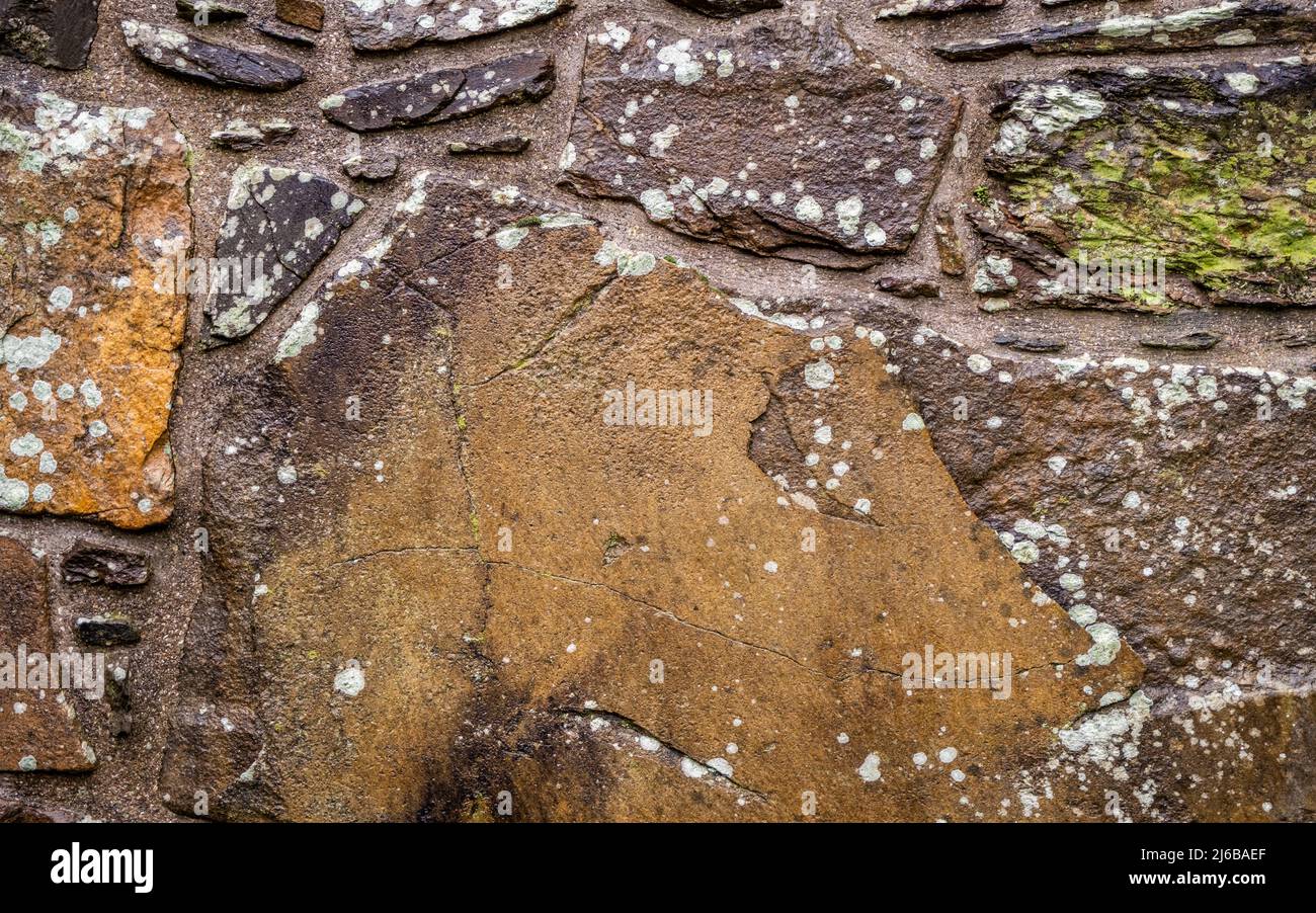 Abstract of an old Scottish castle stone wall, with moss growing Stock Photo