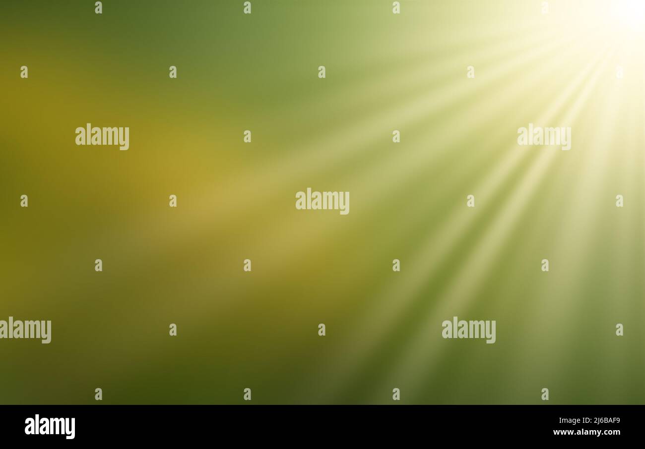 Dandelions in the sun hi-res stock photography and images - Alamy